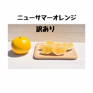 ニューサマーオレンジ(日向夏) 訳あり
