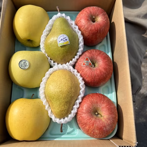 大人気‼️りんごとシルバーベル３色セット