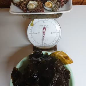 相模湾産さざえ1㎏と生ワカメ300g