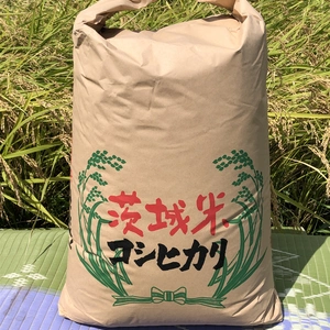 おまけ付き　新米　特別栽培米コシヒカリ　30kg 令和4年産