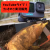 たけのこ掘りライブ　YouTubeで配信しながら収穫します