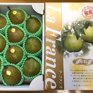 山形のラフランス　3Lサイズ10玉【贈答用】