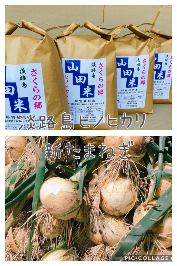 【1日限定10名・母の日企画！】淡路島新たまねぎ（2キロ）・お米（精米2キロ）