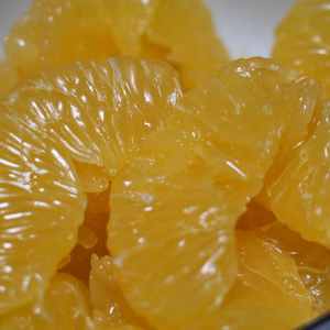 【い～予感】皮まで使える‼ ぷりっぷりジューシーな伊予柑(10kg)