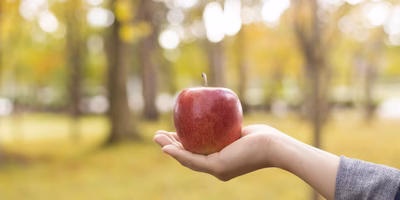 ポケマルな食卓【みんなの投稿まとめ】