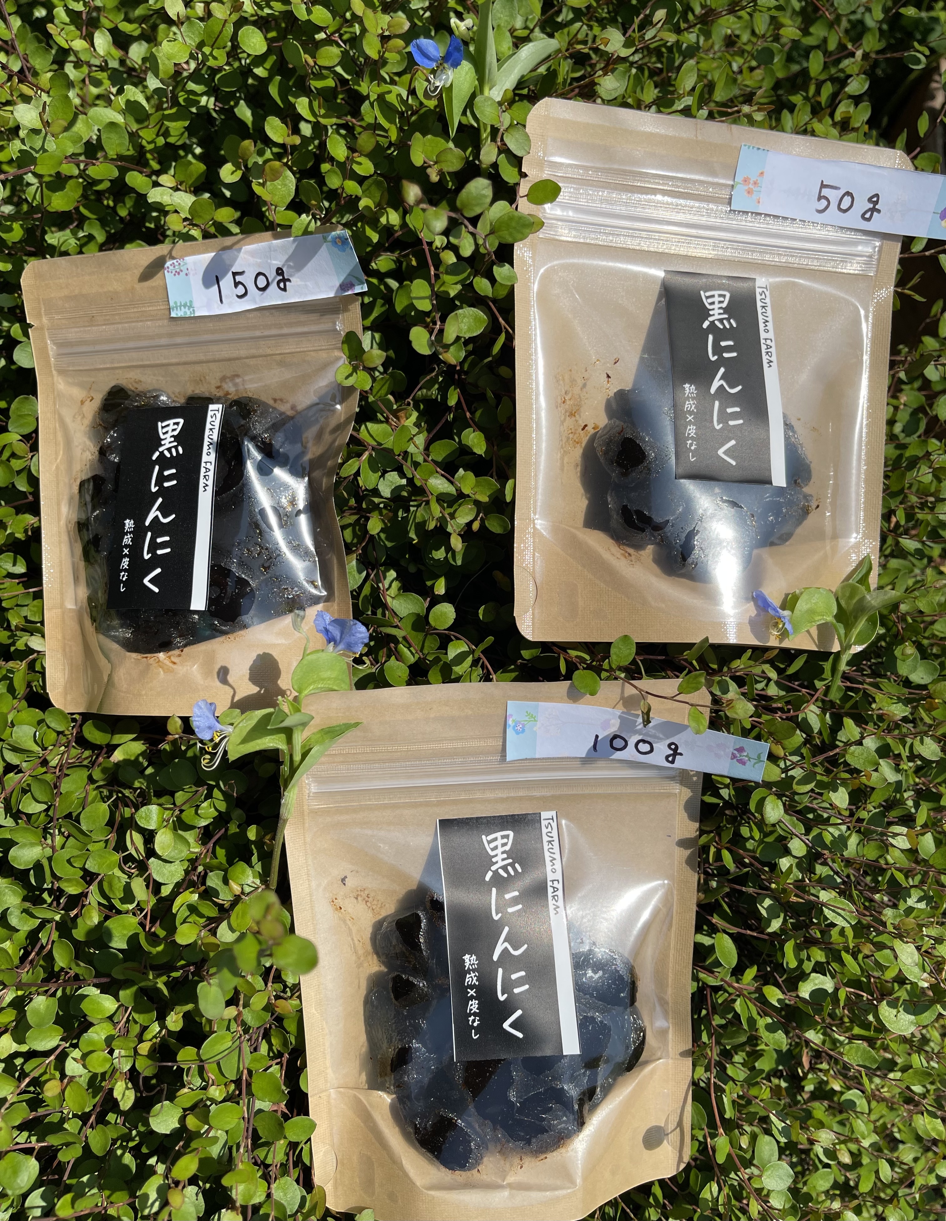 NAGOMIの青梅 7kg 農薬不使用『いちぐろさん』 NAGOMIの青梅 7kg 農薬不使用『いちぐろさん様専用』 - メルカリ