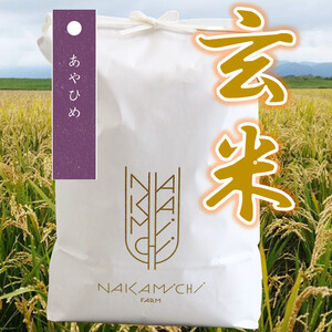 農薬95％カット！北海道米【あやひめ】玄米