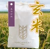 農薬95％カット！北海道米【あやひめ】玄米