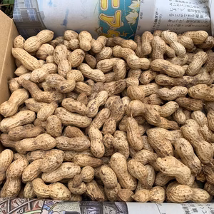 　レシピ付き♪天日干し乾燥落花生（無農薬＆化学肥料不使用）ナタテユタカ５00ｇ～