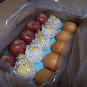 冬の味覚set② 中玉ルレクチエ、フジリンゴ、新興梨