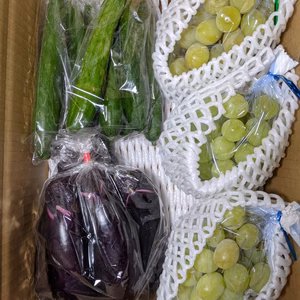 シャインマスカットと野菜のセット