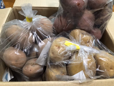 みんなの投稿の画像