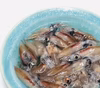 生ホタルイカ超低温冷凍で鮮度保持！しゃぶしゃぶ・お刺身・パスタ・アヒージョにも♪