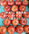 【訳あり】青森県産『シナノスイート』ひょう害キズあり