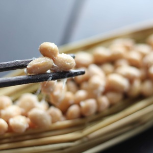 納豆を作ってみよう！無農薬【藁づと手作り納豆キット】