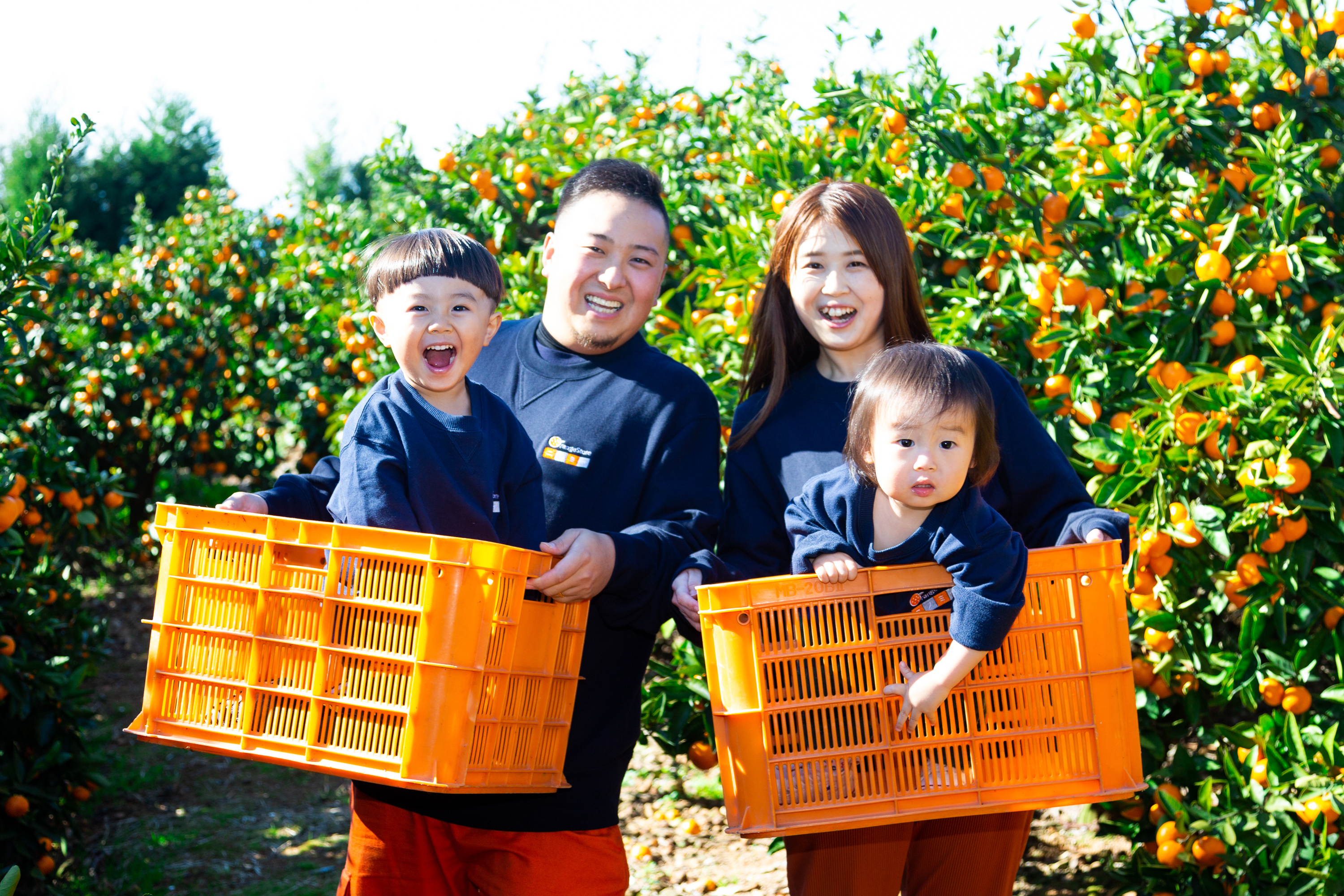 柑橘の大トロ】せとか ※3月発送開始｜不知火・タンゴール類の商品詳細