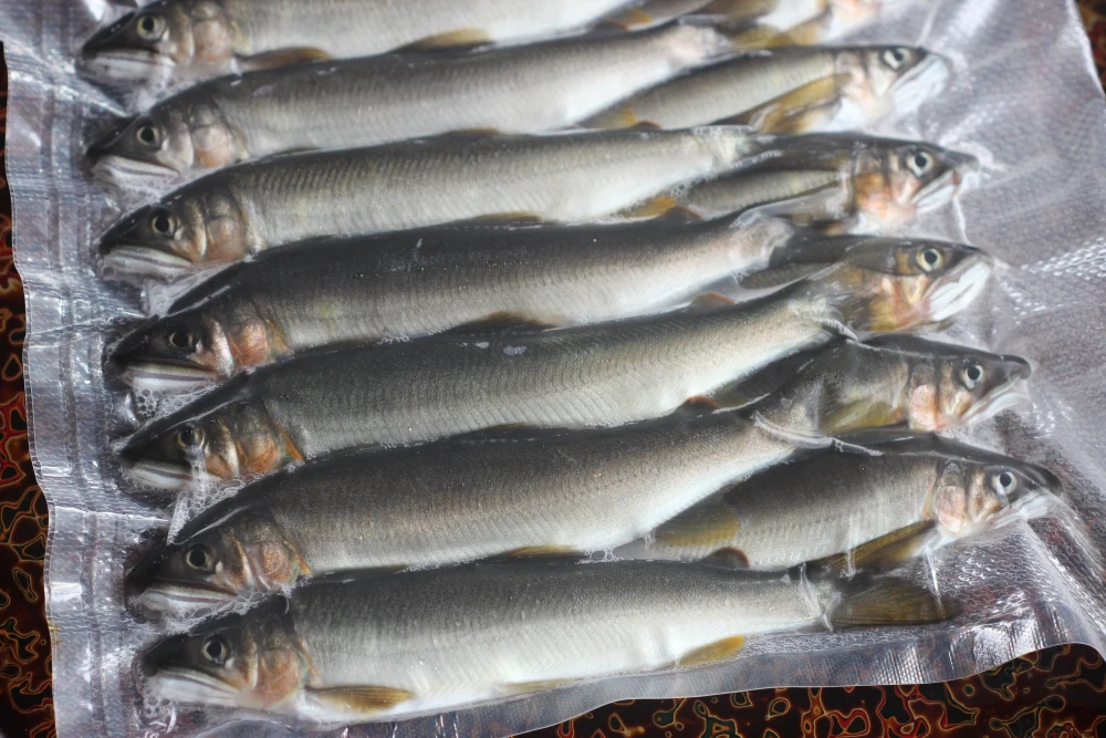 命の味わい!! 北関東の清流「那珂川産 天然あゆ」【真空冷凍】（13尾320g）