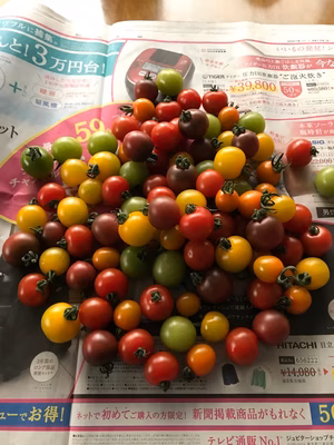 みんなの投稿の画像