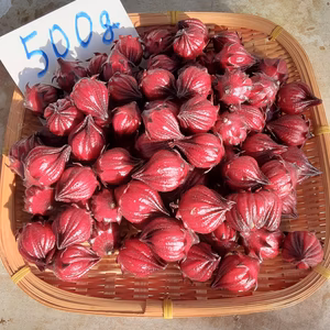 モアレ様専用❣フレッシュ生ローゼル1ｋｇ