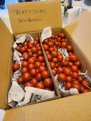 みんなの投稿の画像