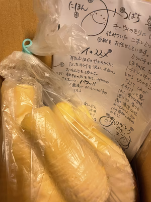 みんなの投稿の画像