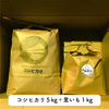 【セット●米＋里いも】R4年度新潟県長岡市産コシヒカリ（精米）＋大和早生