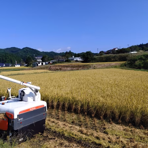 【玄米】米食味鑑定士が育てた“雪の米(コシヒカリ)”玄米でお届け!
