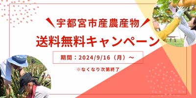 【第一弾！送料無料実施中！】農業王国うつのみやの農産物を知って食べよう！