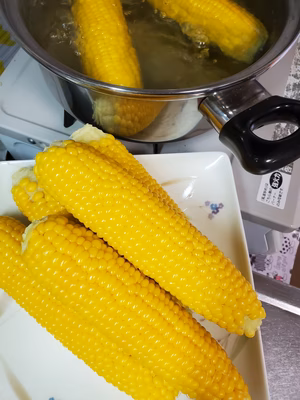 みんなの投稿の画像