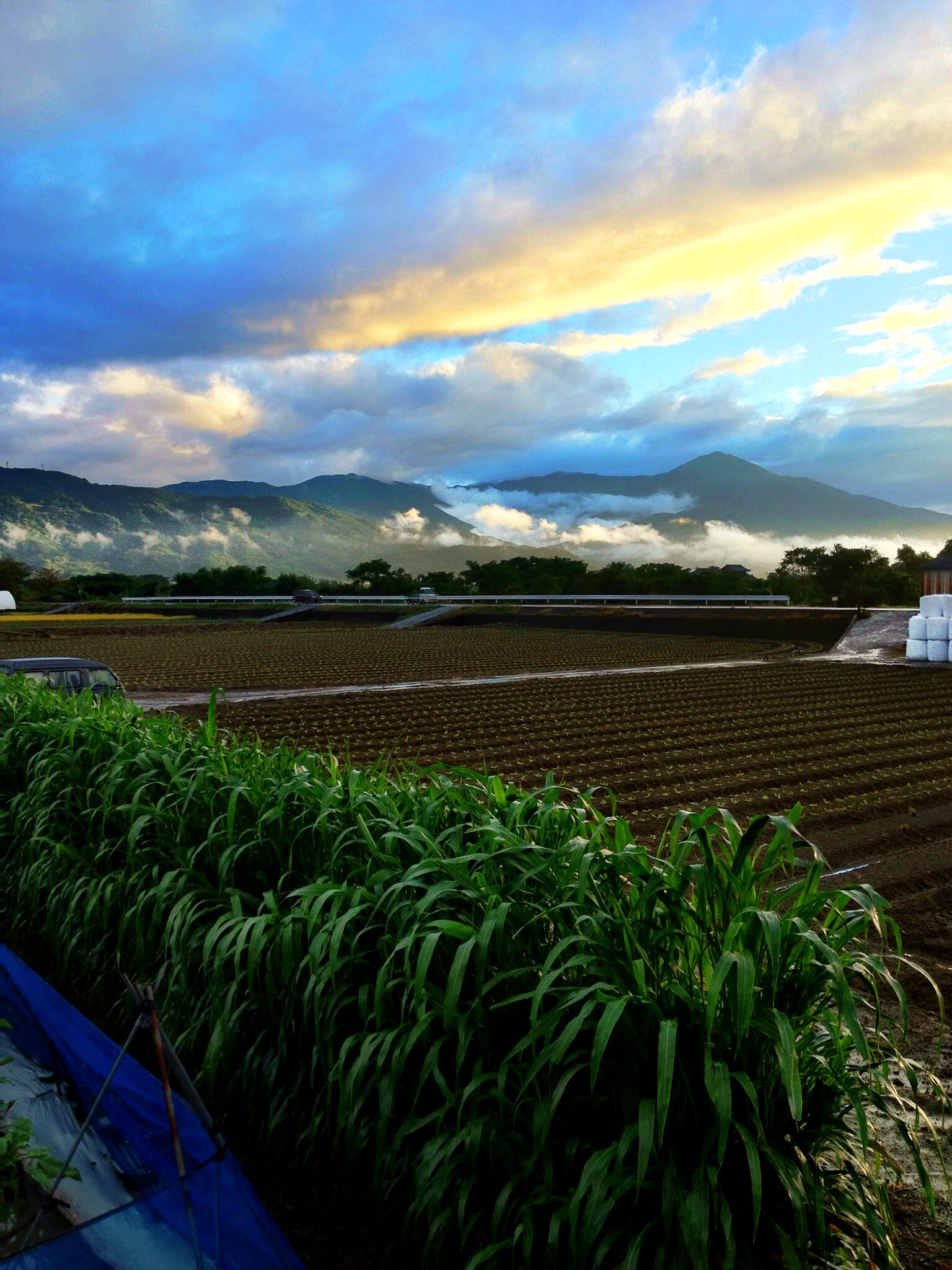 ゼロエネルギーco2フリー 自然農野菜セット 常温配送 農家漁師から産地直送の通販 ポケットマルシェ