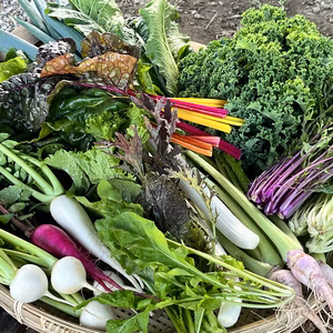 ※本文参照[信州産]寒中野菜の玉手箱