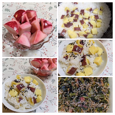 みんなの投稿の画像