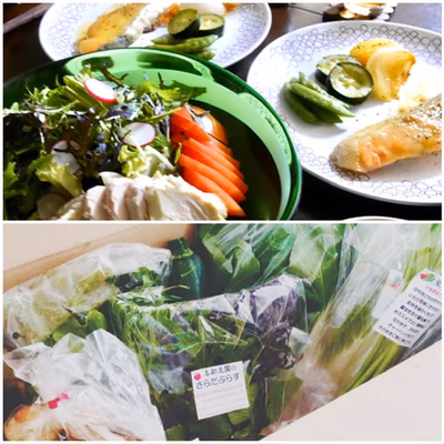 みんなの投稿の画像