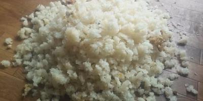 どうか忘れないで「おほどけはんのお米」