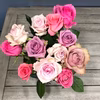 ピンク系 バラMIX 12本（品種お任せ）花のある暮らし♪