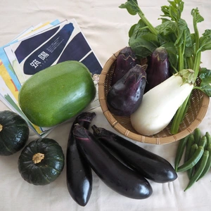 【栄養士考案レシピ付き】野菜ソムリエが厳選した　初秋の野菜セット（規格外含む）