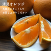 果汁たっぷり！清見オレンジ【減農薬】