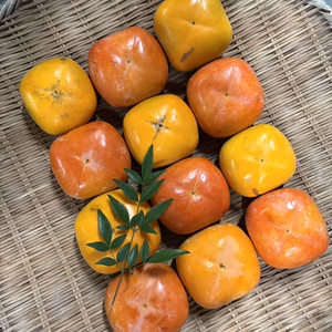 【カリッかサクッか】刀根早生柿と紀ノ川柿の食べ比べセット