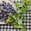 冷凍ブルーベリー　2キロ