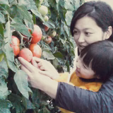 近藤裕子 | みらい有限会社