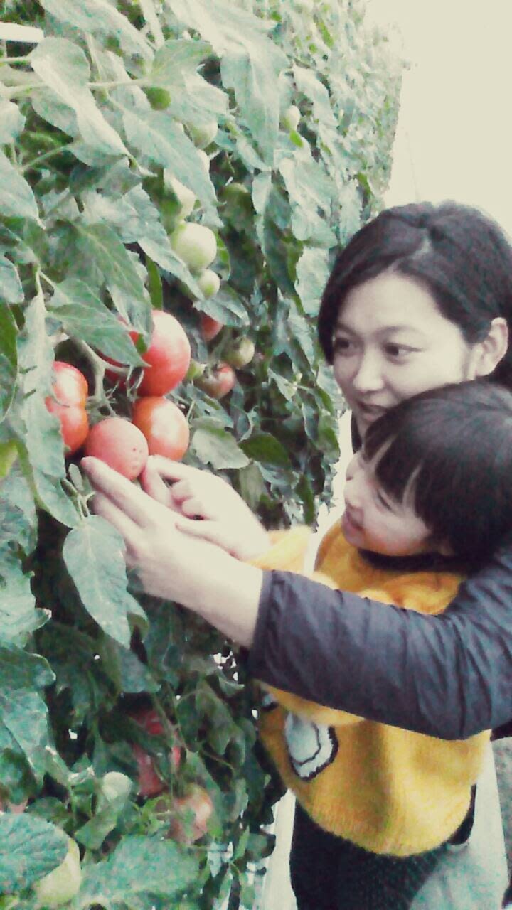 みらい有限会社の通販 近藤裕子さん 農家漁師から産地直送の通販 ポケットマルシェ