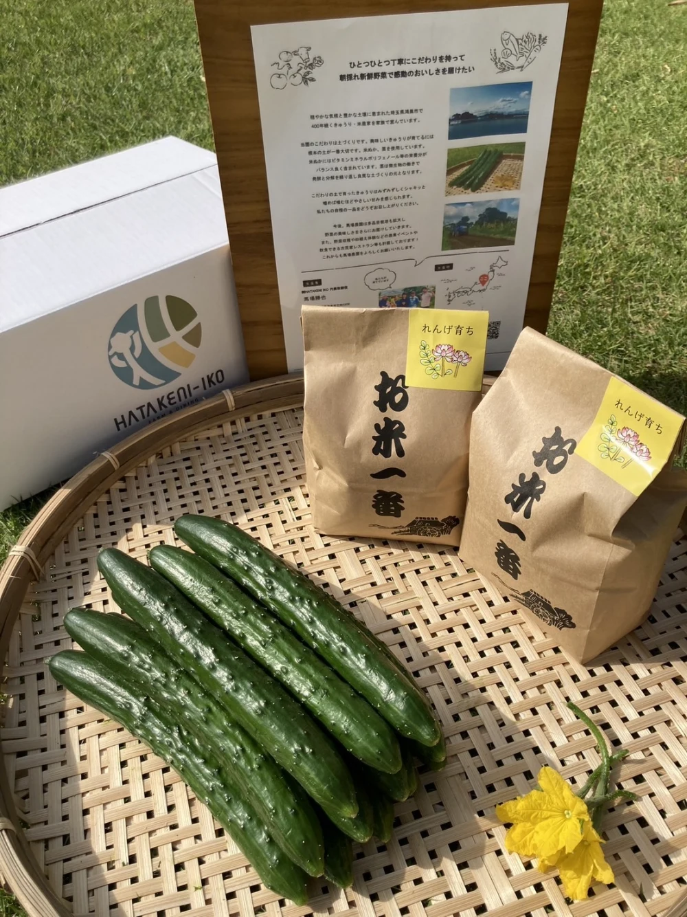 【シャキッと！】朝採れ新鮮きゅうり２kgとれんげ米２㎏セット