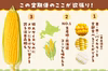 【7・8月に全4回】注目の激甘4種コーンを網羅！「欲張りとうもろこしの定期便」