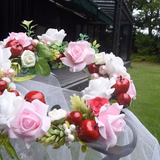 フクロモモンガ