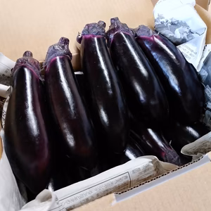 宮古島産　なす