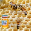 【添加物なし】はちみつ 600g 蜂蜜 ハチミツ セイヨウミツバチ