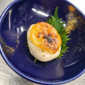 【日間賀島産】天然トラフグ‼︎ 捌いて発送1kg個体【白子あり】