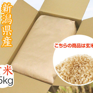 【あっさり】令和2年産新潟県長岡産こしいぶき玄米25kg