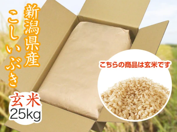  【令和2年産】新潟県産こしいぶき　玄米（25kg）