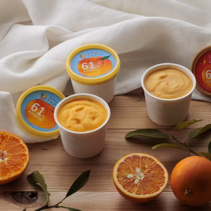 果汁61％濃厚でしっとりとした食感　本格柑橘ジェラート5個セット